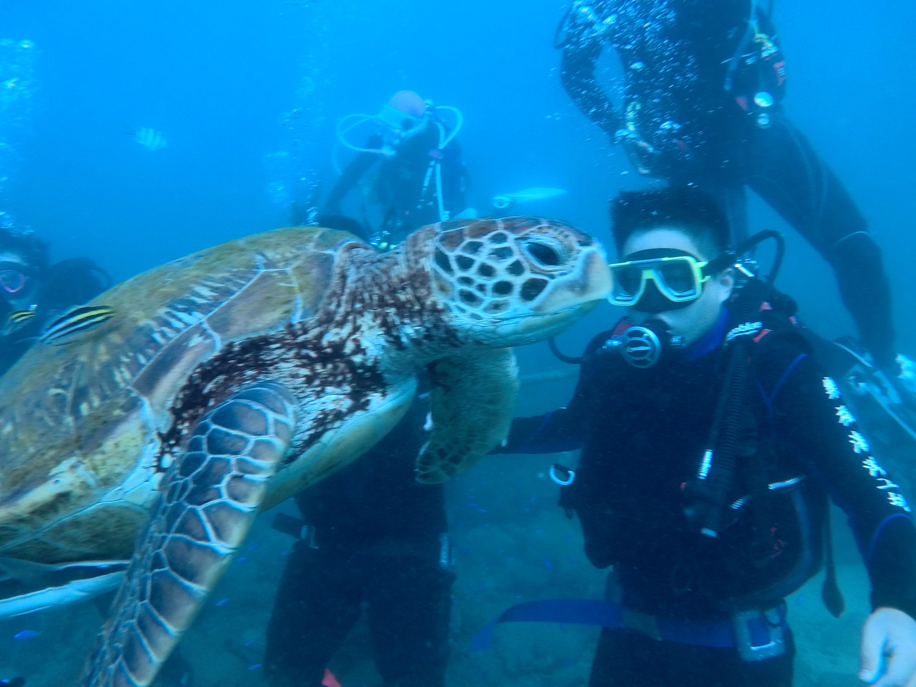 澎湖旅遊-體驗潛水(無證照)